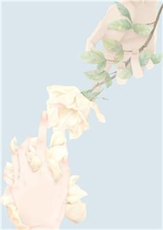 63261423唐绵沈铖