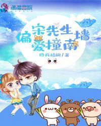 宋先生偏爱撞南墙