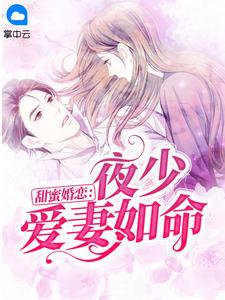 甜蜜婚恋:夜少爱妻如命