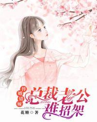 替婚错嫁:总裁老公难招架