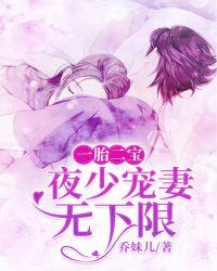 一胎二宝:夜少宠妻无下限
