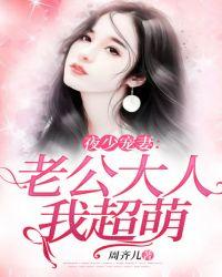夜少宠妻:老公大人我超萌
