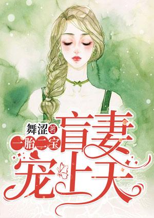 一胎二宝:盲妻宠上天