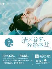 清风徐来，汐影盛开