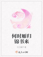 何时雁归锦书来