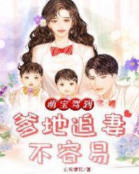 萌宝驾到:爹地追妻不容易