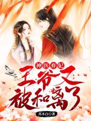 神医弃妃:王爷又被和离了!