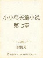 小小鸟长篇小说第七章