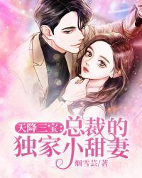 天降三宝:总裁的独家小甜妻