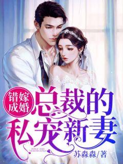 错嫁成婚:总裁的私宠新妻莫宛溪贺煜城