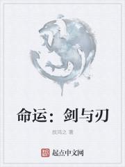 命运:剑与刃