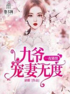 一夜锁情:九爷宠妻无度