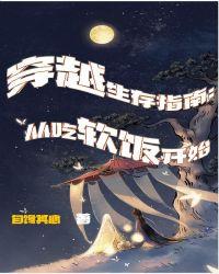 穿越生存指南:从吃软饭开始