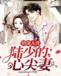 情深入骨:陆少的心尖妻