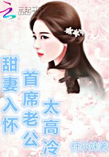 甜妻入怀:首席老公,太高冷