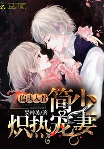 偏执入骨:简少炽热宠妻