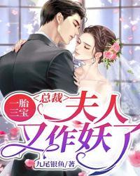 一胎三宝:总裁,夫人又作妖了