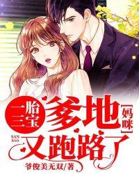 一胎三宝:爹地,妈咪又跑路了!