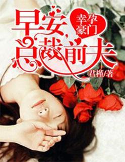 幸孕豪门:早安,总裁前夫