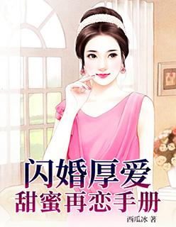 闪婚厚爱:甜蜜再恋手册
