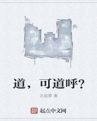 道,可道呼?