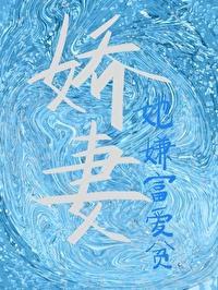 娇妻她嫌富爱贫
