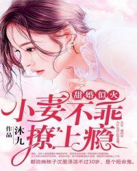 甜婚似火:小妻不乖,撩上瘾