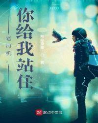 老司机,你给我站住