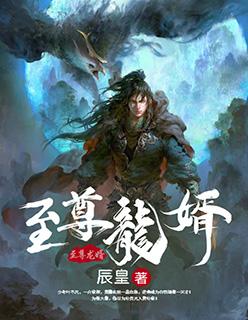 至尊龙婿