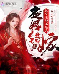 夜婚错嫁:这个王爷不是人