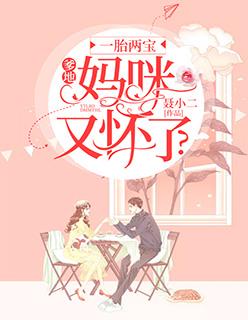 一胎两宝:爹地,妈咪又怀了?