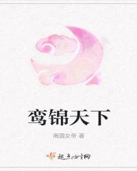 鸾锦天下