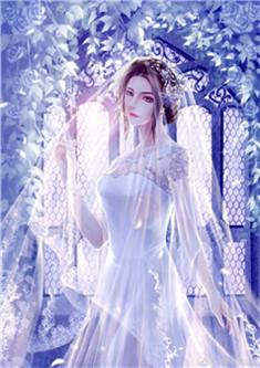 总裁夫人又在鉴宝啦