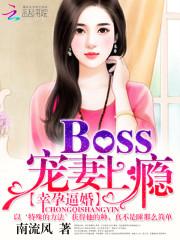 幸孕逼婚:Boss宠妻上瘾
