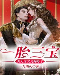 一胎三宝:夫人又又又帅炸了