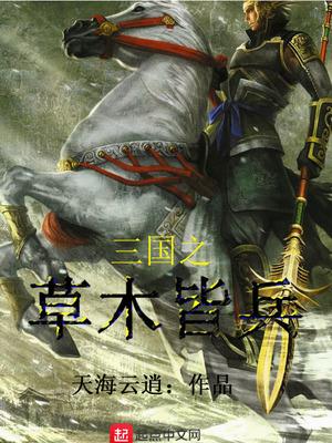 三国之草木皆兵