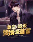 重生:超级赘婿是首富
