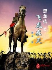 忠龙传之飞龙在天