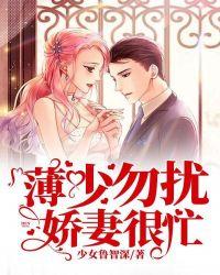 薄少勿扰,娇妻很忙