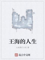 王海的人生