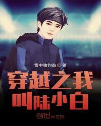 穿越之我叫陆小白