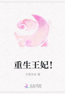 重生王妃!