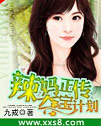 辣妈正传，夺宝计划