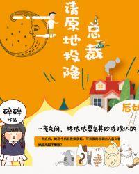 总裁,请原地投降