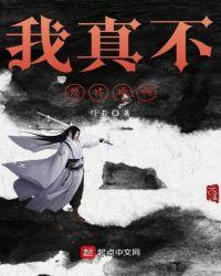 我真不想转换啊