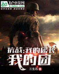 抗战:我的团长我的团