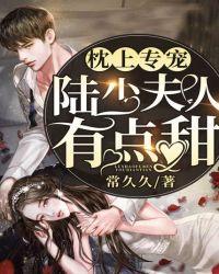 枕上专宠:陆少夫人有点甜