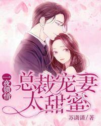 一夜锁情:总裁宠妻太甜蜜