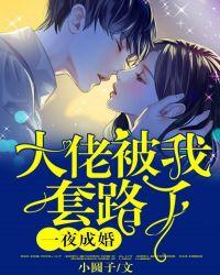 一夜成婚:大佬被我套路了