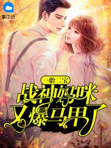 一胎二宝：战神妈咪又爆马甲了虞思楠霍铭扬